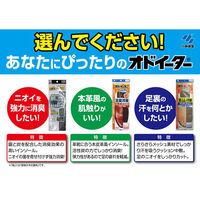 銀と炭のオドイーター 1足入 小林製薬