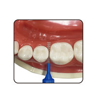 デイリーキャップ付歯間ブラシ20本入・SS エビス