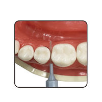 デイリーキャップ付歯間ブラシ20本入・SSSS エビス