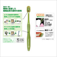 プレミアムケア エコハブラシ 6列レギュラー ふつう 1個 エビス 歯ブラシ