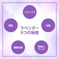 レイヴィー ボディシャンプー スウィートラベンダーバニラ 詰め替え 900ml アクシス【液体タイプ】