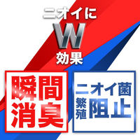 Dr.Scholl（ドクターショール） 靴用消臭・抗菌スプレー 大型サイズ 大容量 300ml ショールズウェルネスカンパニー