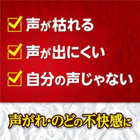 コエキュア 6包 小林製薬【第2類医薬品】