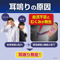 ナリピタン 当帰芍薬散錠 168錠 小林製薬【第2類医薬品】