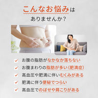 和漢箋（わかんせん） ロート防風通聖散錠満量a 372錠 ロート製薬 漢方薬 1日2回 肥満 便秘 むくみ【第2類医薬品】