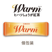 【スティック】【機能性表示食品】日東紅茶 Warm（ウォーム）ヒハツしょうが紅茶 1セット（24本:8本入×3袋）