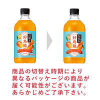 サントリー 烏龍茶 好烏龍（ハオウーロン）マンゴー＆マンダリンティーエード 500ml 1セット（48本）