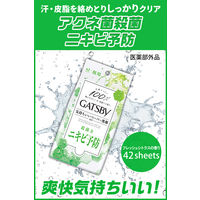 ギャツビー フェイシャルペーパー 洗顔 薬用 アクネケアタイプ＜徳用＞42枚 1個（医薬部外品）ニキビ予防 マンダム
