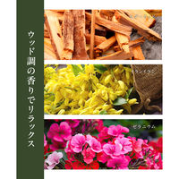 パックスオリー　ボディーソープ　４５０ml 1個 泡　無添加　敏感肌用　天然由来100% 【泡タイプ】