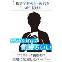 ギャツビー　アイスデオドラント　ボディペーパーN　アイスシャボン　＜徳用＞ 30枚入り　医薬部外品　1個　マンダム