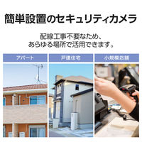 防犯カメラ 監視カメラ ドーム型 天井型 ワイヤレス・有線対応 マイク内蔵 200万画素 逆光対応 ナイトビュー DXアンテナ 1個（直送品）