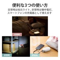 エレコム 乾電池式懐中電灯/枕元ライト/防災/スマホ充電/USB-A×1/単3電池4本付属/ブルー DE-KD04BU 1個