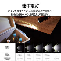 懐中電灯 LEDライト 4段階光量調節 電池式 防水・防塵 IP44 スマホ充電 ブラック DE-KD05BK エレコム 1個