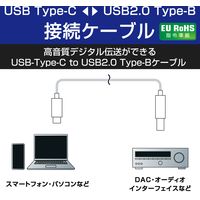 タイプBケーブル (C to B) 1m 高耐久 ハイレゾ対応 ネイビー DH-CB10 エレコム 1個