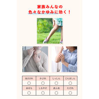 ムヒS 20g 池田模範堂　ノンステロイド 塗り薬 常備薬 かゆみ止め かぶれ 湿疹 蕁麻疹【第3類医薬品】