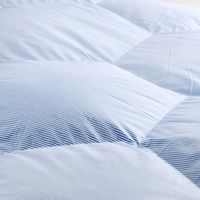 西川 ランドリエ ホワイトダックダウン90%羽毛掛けふとん KA01403008 1枚