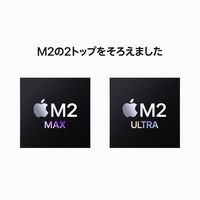 【在庫限り終了】Mac Studio Apple M2チップ 24コアCPU/60コアGPU SSD 1TB シルバー