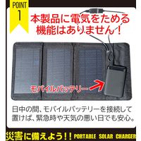 エアージェイ ポータブルソーラー充電器5W エントリーモデル BK レッドカップキャンペーン商品 AJ-NSOLAR5W 1台
