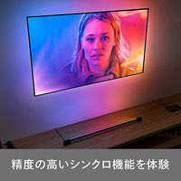シグニファイ Hue Signe ライトチューブ PLH24LT 1個（直送品）