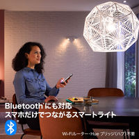 シグニファイ Hue ホワイトグラデーションシングル E26 75W PLH29WG 1個（直送品）