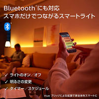 シグニファイ Hue ホワイトグラデーションシングル E17　PF版 PLH47GS 1個（直送品）