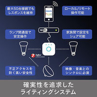 シグニファイ Hue ブリッジ PF版 PLH53BR 1個（直送品）