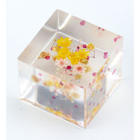 アーテック 2液性レジン 300g 39026 1セット