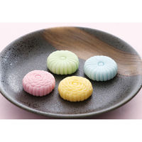 アーテック 樹脂粘土セレネでつくるフェイクフードベーシックキット 23762 1個