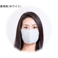 テクナード シリカクリン 抗菌消臭立体マスク WH(ホワイト) L 65-2329-43 1枚（直送品）