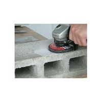 柳瀬 コンクリートTOPディスク シュリンク TC04 100X15 #60 1セット(10PC)（直送品）