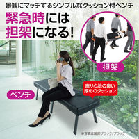 【軒先渡し】テラモト クッション付きレスキューボードベンチ　脚部ブラック　ブラック BC3091277 1台（直送品）