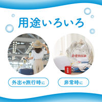 ティッシュペーパー ポケットティッシュ 10組（20個入） エリエールオーデュスポケット 1セット（60パック） 大王製紙