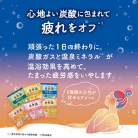 きき湯 ほぐれセット 6種アソート 1箱（30g×6包入） 個包装 錠剤 炭酸入浴剤 アース製薬