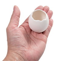 エッグプランター（S） キッチン菜園 室内園芸　51588　1個（直送品）