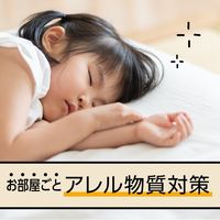 マモルーム Feat. アレルブロック ハウスダスト・花粉用 2ヵ月用セット 1セット（2個） 花粉対策 室内 アース製薬