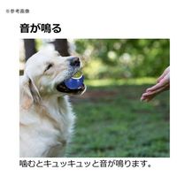 リッチェル ナーフドッグ ラバーボール 2i 2P 262427 1個（直送品）