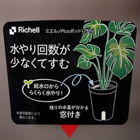 リッチェル ミエルノPlusポット 17型 ダークブラウン 270944 1個（直送品）