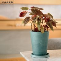 リッチェル ボタニー トールポット 15型 ミントグリーン 285975 1個（直送品）