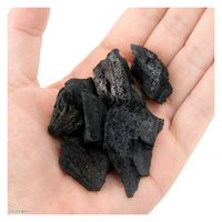 創和リサイクル 鉢底炭　５Ｌ 700004 1袋（直送品）