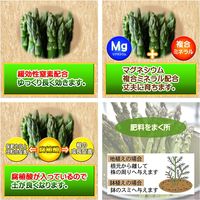 東商 アスパラガスの肥料 350g 267794 1個（直送品）