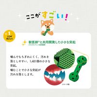 ライオン PETKISS ワンちゃんの歯みがきおもちゃ 小型犬用 290984 1個（直送品）