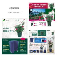 リッチェル バラ鉢 ブラウン 12号 φ36×36cm 49645 1個（直送品）