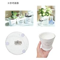 エイチ・ツー・オー フレグランドラウンドポット XS 直径11.5×高さ10.5cm 281928 1個（直送品）