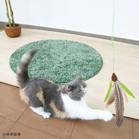 ペッツルート 猫じゃらし ハンディーハンター バード 290881 1個（直送品）