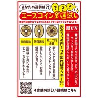 エースコイン抹茶味 10個 日清シスコ ビスケット クッキー