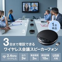サンワサプライ ワイヤレス会議スピーカーフォン MM-WLMSP1 1個（直送品）