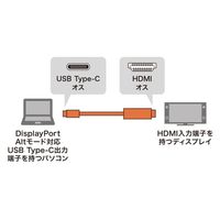 サンワサプライ TypeC-HDMI変換ケーブル(ブラック・3m) KC-ALCHD30K 1本（直送品）