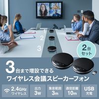 サンワサプライ ワイヤレス会議スピーカーフォン(2台セット) MM-WLMSPSET 1個（直送品）