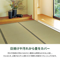 【玄関渡し】 萩原 い草カーペット　柳川（やながわ）　本間8畳  382×382cm（直送品）