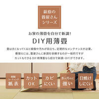 【玄関渡し】 萩原 【萩原の畳屋さんシリーズ】　DIY畳　樹（いつき）　同色2枚セット ブラウン 82×82×1.3cm（直送品）